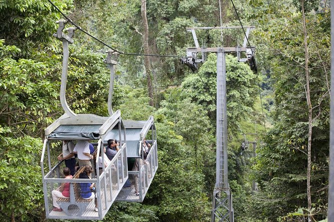 Veragua Rainforest Adventure: Immerse in Nature's Wonders - Experience the Rich Biodiversity