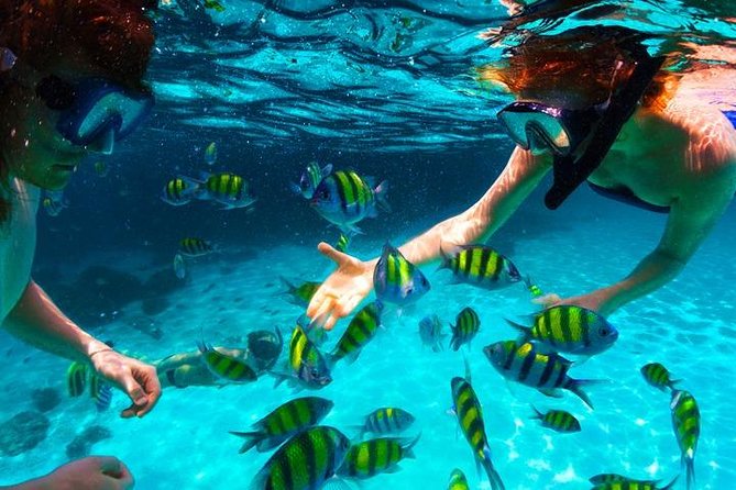 West Bay Aquarium Snorkeling, Chocolate & Rum Factory, City Tour Plus Transfer - Beach Activities