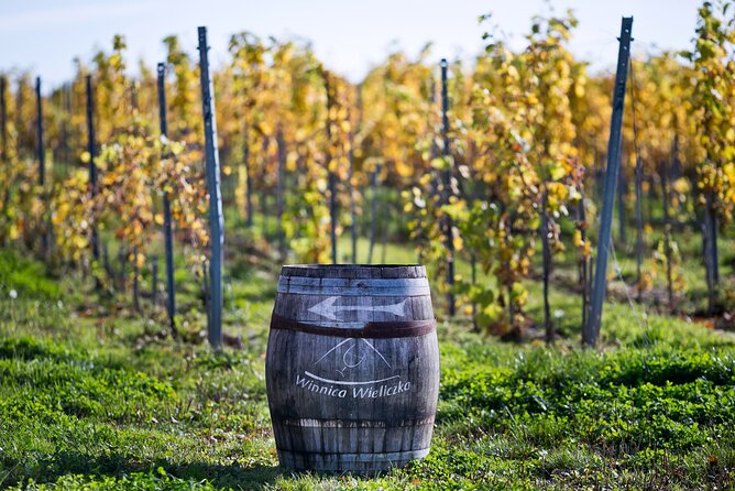 Wieliczka Vineyard: Wine Tasting With Local Snacks - Good To Know