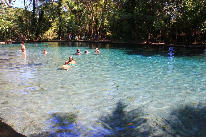 Wildlife Adventure Unveiled: Ometepe Island Expedition - Good To Know