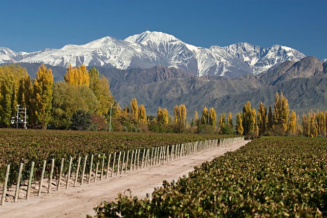 Wine Lovers' Adventure: Mendoza in 4 Days - Itinerary Highlights