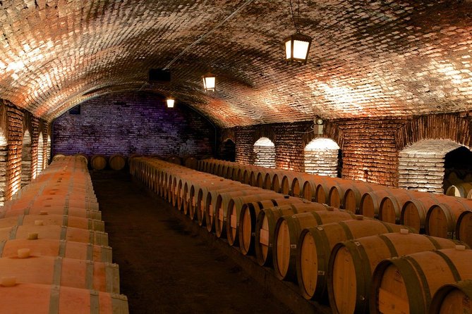 Wine Lovers' Dream: Concha Y Toro Excursion - Booking Information