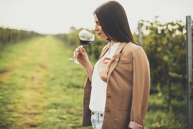 Wine Tasting Tour in the Umbrian Hills - Tour Highlights
