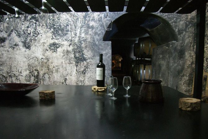 Wine Trails Unveiled: Sip, Stroll, Delight - Exploring the Wine Region