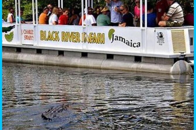 Y.S Falls and Black River Safari Tour - Tour Highlights
