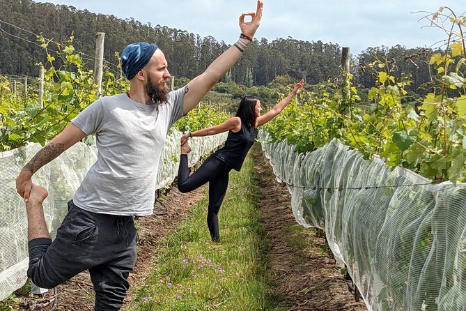 Yoga, Wine, and Meditation Blend in Paradise - Event Highlights