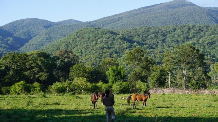 Yungas : Full Day With Gauchos