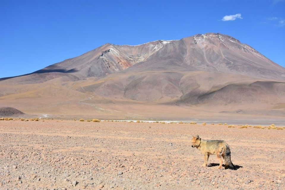 2-Day Private Tour: Uyuni Salt Flats to San Pedro De Atacama - Tour Inclusions and Highlights