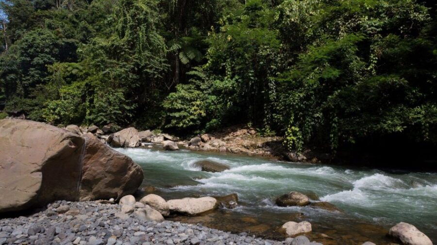 2 Days 1 Night Orangutan Trek Bukit Lawang - Good To Know