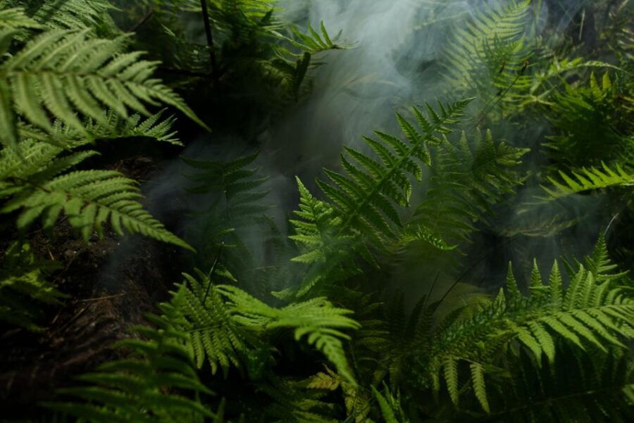 2 Days Expedition From Bukit Lawang: Connect With Nature - Good To Know