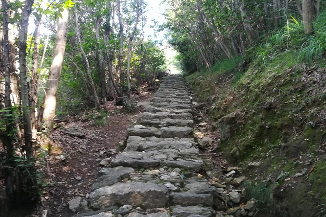 2 Days Trekking - Il Sentiero Del Viandante: From Varenna to Colico - Overview of the 2-Day Trekking Tour