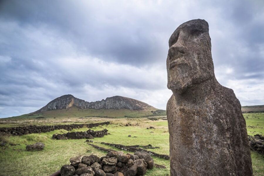 2 Half Days & 2 Full Days Private Tours OPTION B