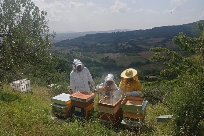 2 Hours Beekeeping and Honey Tasting Activities in Assisi - Location Details