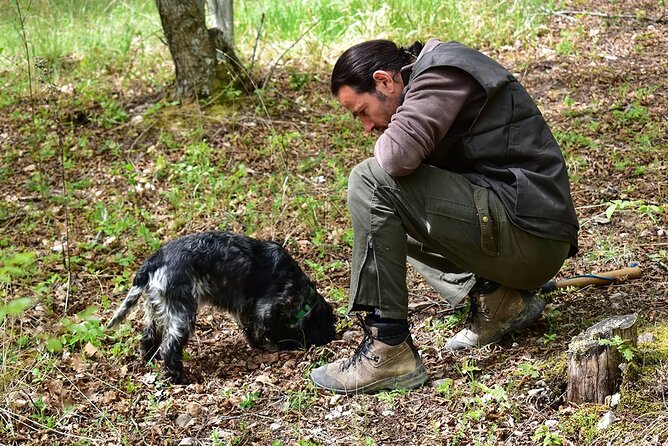 2 Hours Umbria Truffle Hunting Experience With Brunch