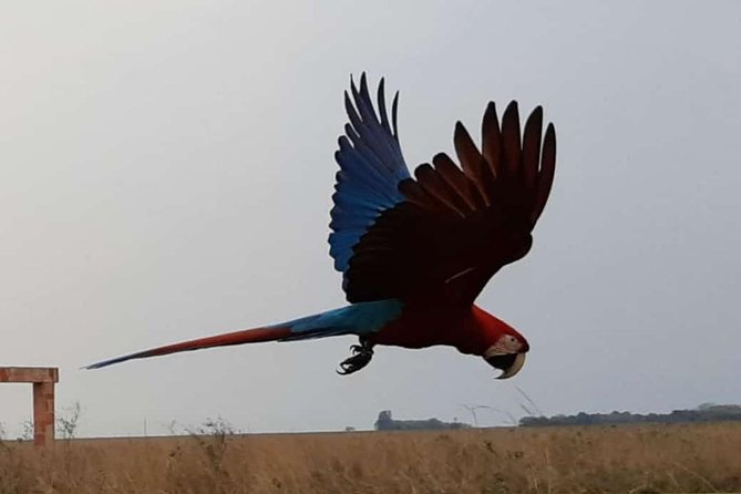 2-Night Program With One-Way Transfer From Posadas, Hotel and Excursions - Good To Know