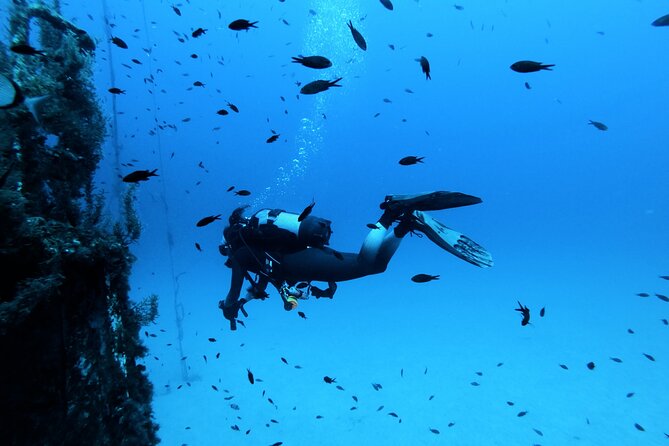 2 Scuba Fun Dives for Certified Divers in St Pauls Bay - Dive Sites Overview