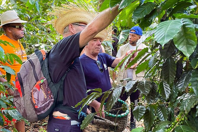 2-Day All-Inclusive Package Along the Coffee Route in the South - Itinerary Highlights