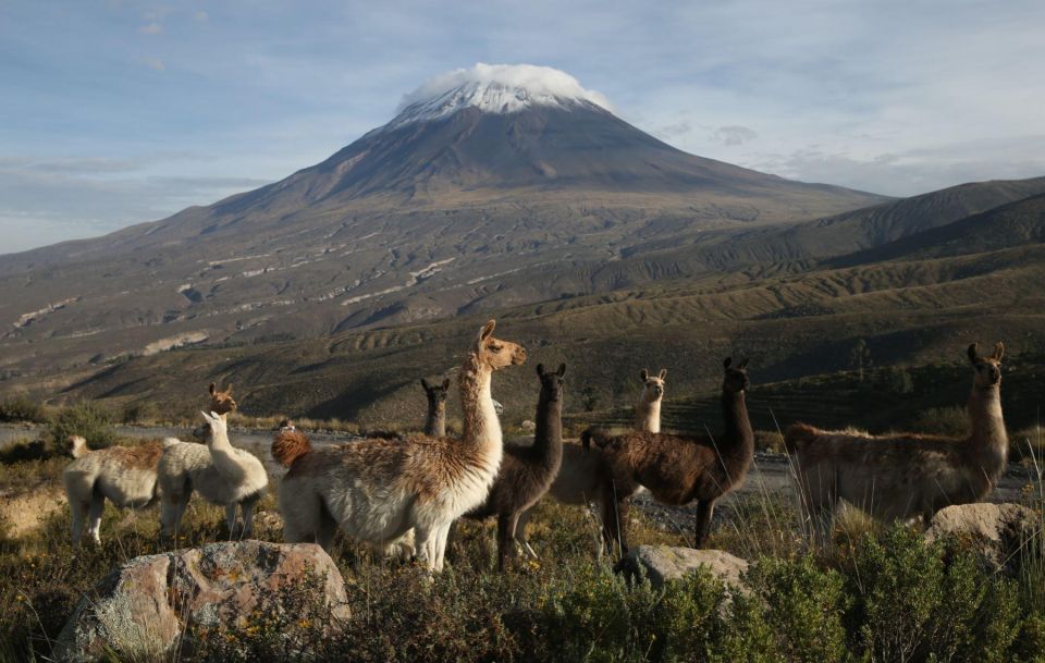 2-Day Tour to the Colca Valley and the Condor Cross - Booking Information