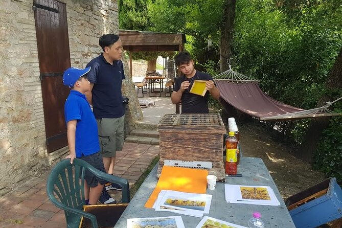 2 Hours Beekeeping and Honey Tasting Activities in Assisi - Activity Overview