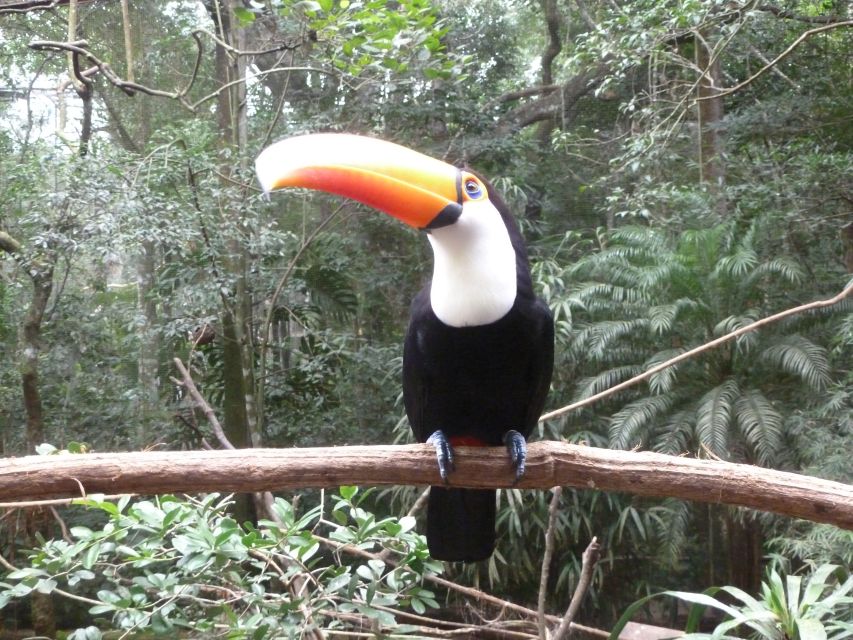 3-days Iguassu Falls Tour - Good To Know