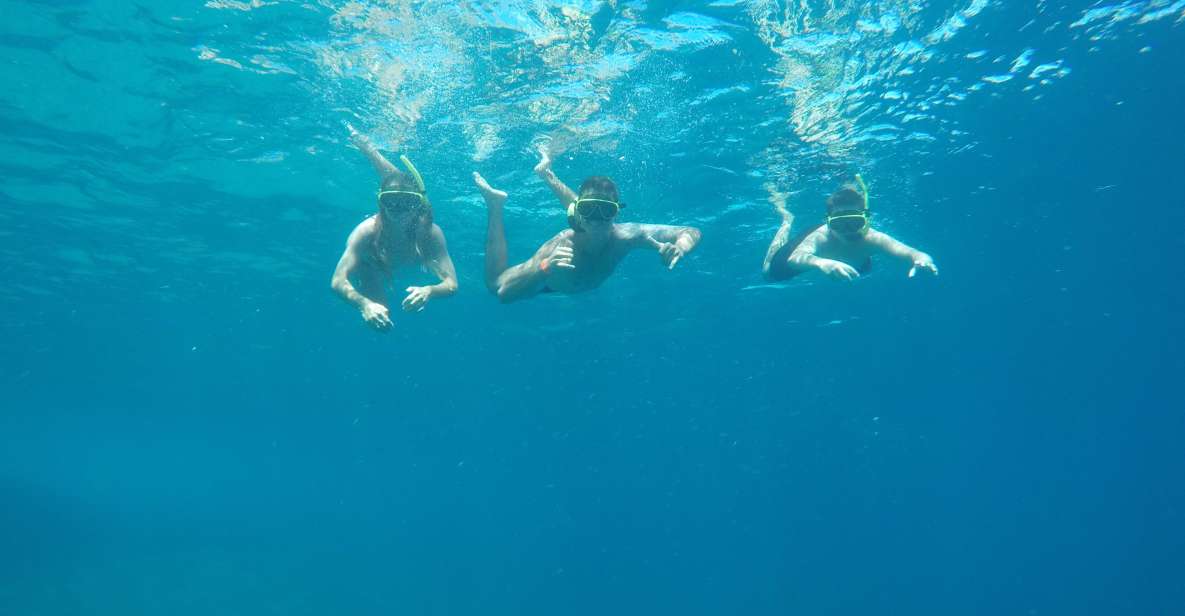 3 Hours Snorkel and Swim With Turtles Tour at Tijuca Islands - Snorkeling Experience