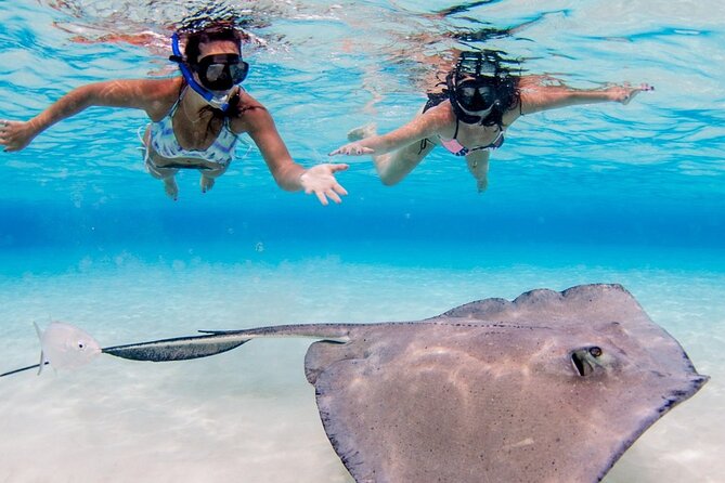 3-Stop Adventure: Stingray City and Snorkeling at Cayman Reefs - Adventure Overview