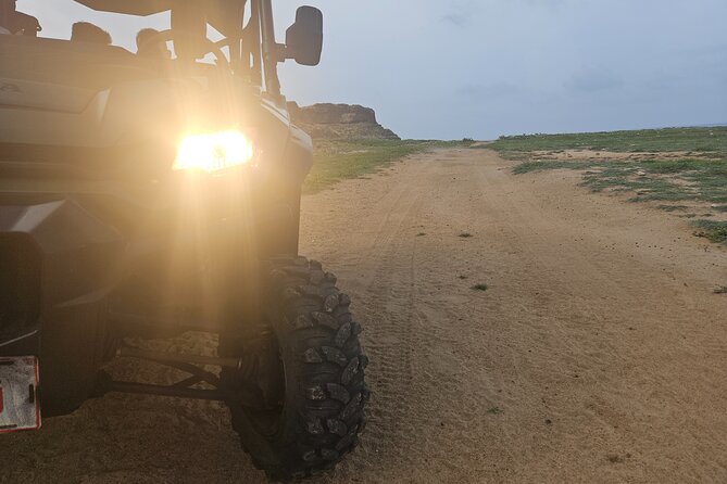 4-Seater UTV Island 4hr Tour in Aruba, Morning or Afternoon - Tour Overview