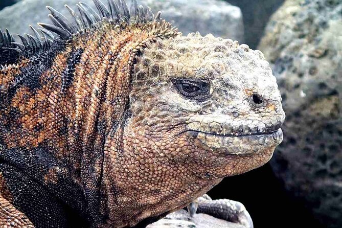 6 Days Galapagos Island Hopping - Good To Know