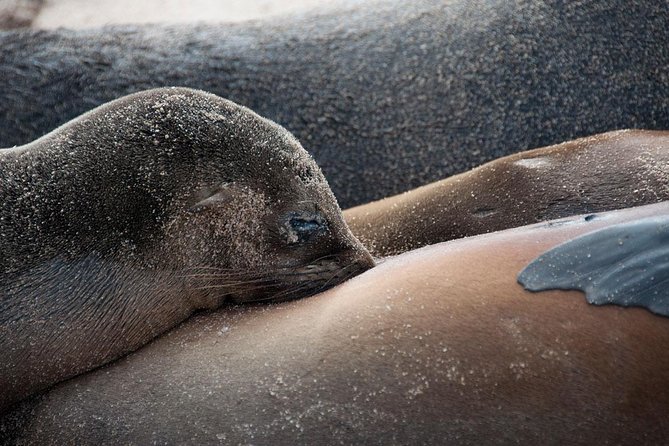 6 Days Galapagos Land Tour Starting in San Cristobal Island Including Santa Cruz - Landmarks to Explore