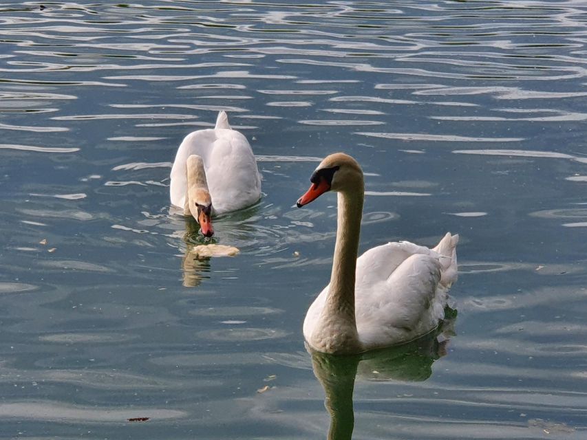 7 Days in Romania - Private Tour - Experience