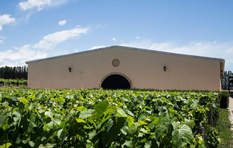 A Day of Rafting, Wineries & Real “Asado Argentino”