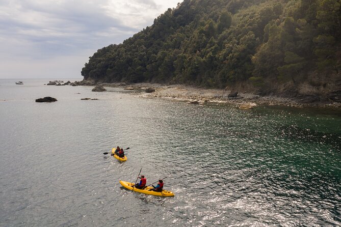 Activities in Kayak Along the Coasts of Punta Manara - Overview of Kayaking Experience