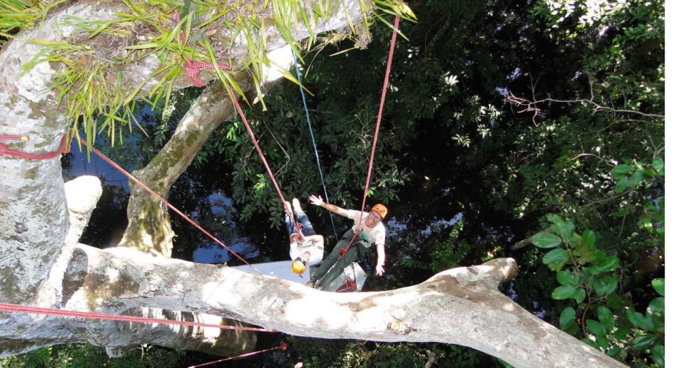 Amazon Jungle 3-Hour Tree Climbing Activity - Traveler Reviews