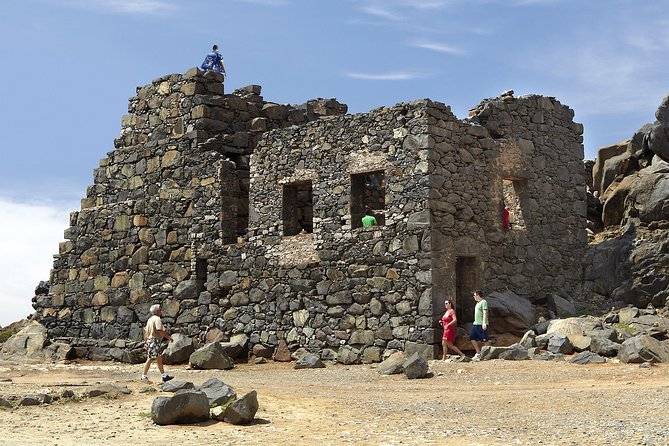 Aruba Full-Island Tour - Positive Feedback on the Tour