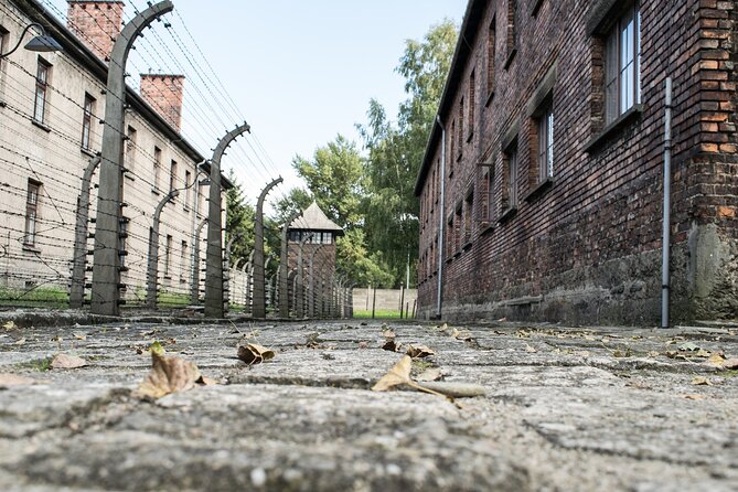 Auschwitz & Birkenau: Live-Guided Tour With Transportation and Hotel Pickup - Tour Inclusions & Activities