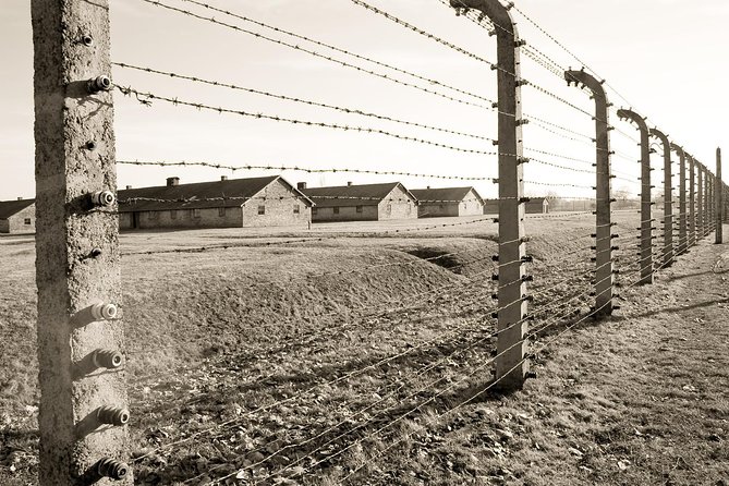 Auschwitz- Birkenau One-Day Study Tour From Krakow With Private Transfer - Good To Know