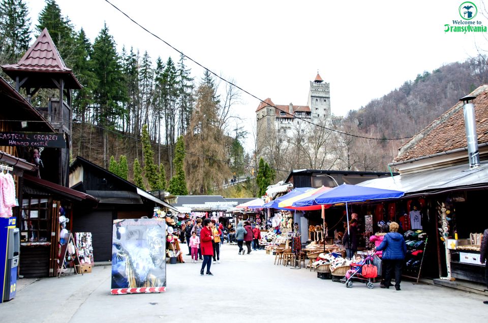 Bear Sanctuary & Bran Castle & Airport OTP From Brasov - Tour Duration and Flexibility