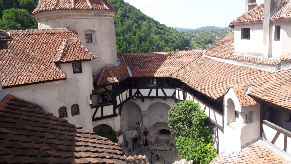 Bear Sanctuary-Bran Castle-Rasnov Fortress From Brasov - Experience