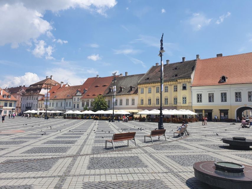 Bears Sanctuary, Bran Castle and Brasov City - Private Tour - Tour Information