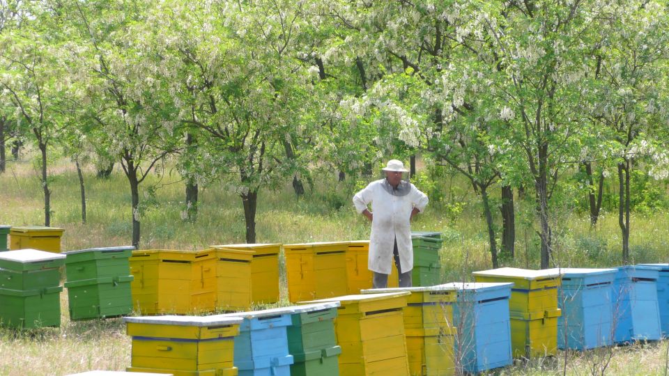 Bees in Romania - Private Beekeeping Lesson and Local Lunch - Experience Highlights