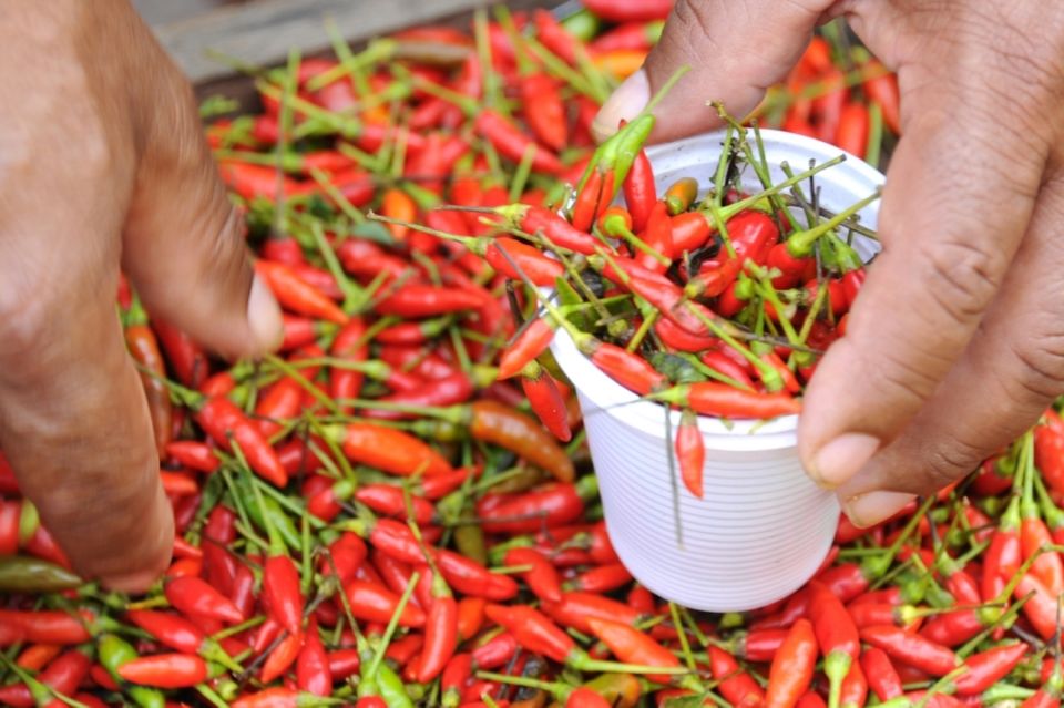 Belém: Ver-O-Peso Market and Full-Day City Tour With Lunch - Good To Know