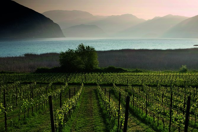 Bergamo and Franciacorta With Lunch and Cellar Visit - Tips for a Memorable Bergamo and Franciacorta Trip