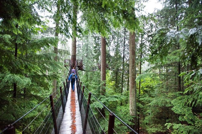 Best of Vancouver Small-Group Tour W/Capilano Grouse Mtn Lunch - Small-Group Format Benefits