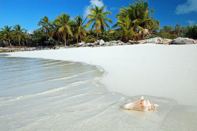 Bimini , Bahamas- Ferry Tickets- Overnight Option - Trip Inclusions
