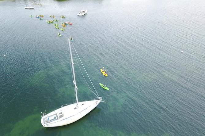 Bio Bay Kayak Tour in Puerto Rico - What to Expect During the Tour