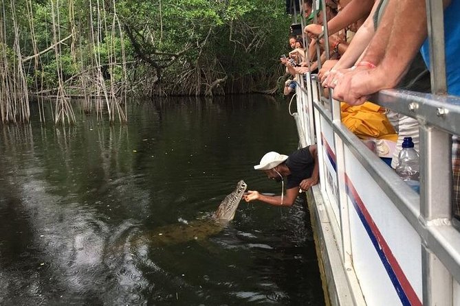 Black River Safari With Transport From Montego Bay - Tour Highlights