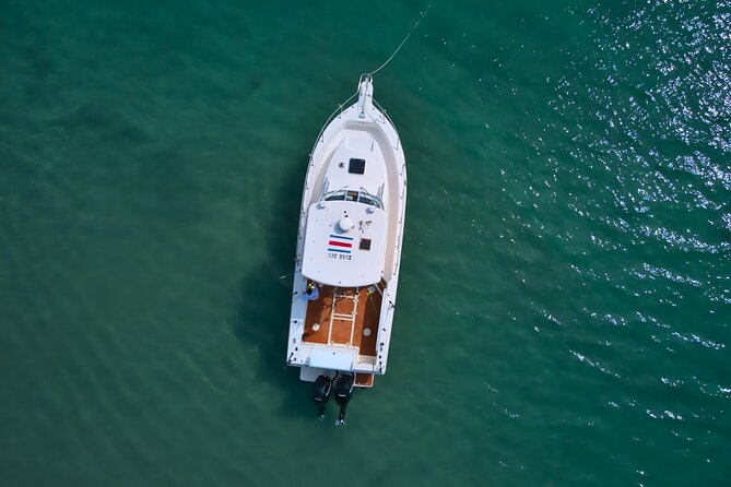 Blue Sea Sport Fishing Tours - Good To Know
