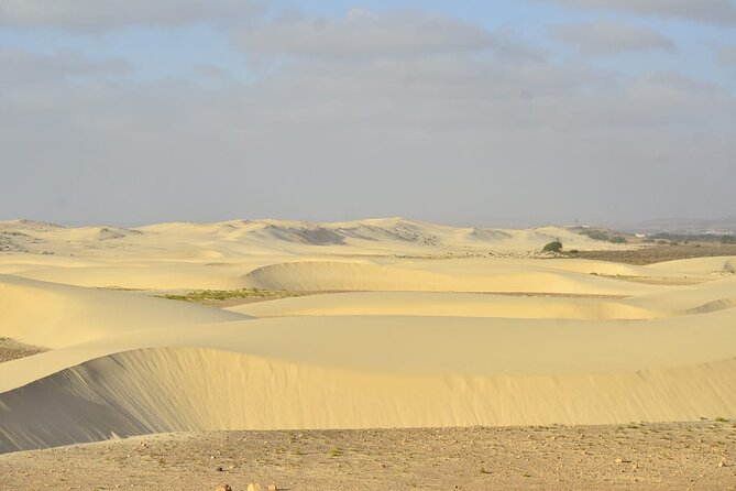 Boa Vista Island: Full-day Caves, Dunes & Santa Monica Beach Tour - Tour Details and Itinerary