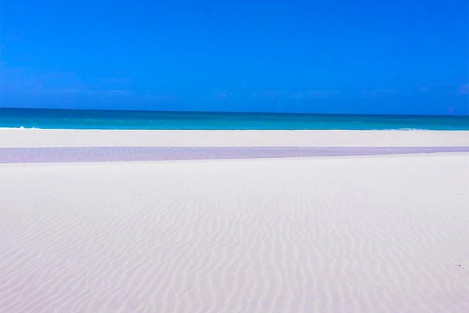Boa Vista Island: Half-day Tour Santa Monica Beach by 4x4 - Traveler Photos