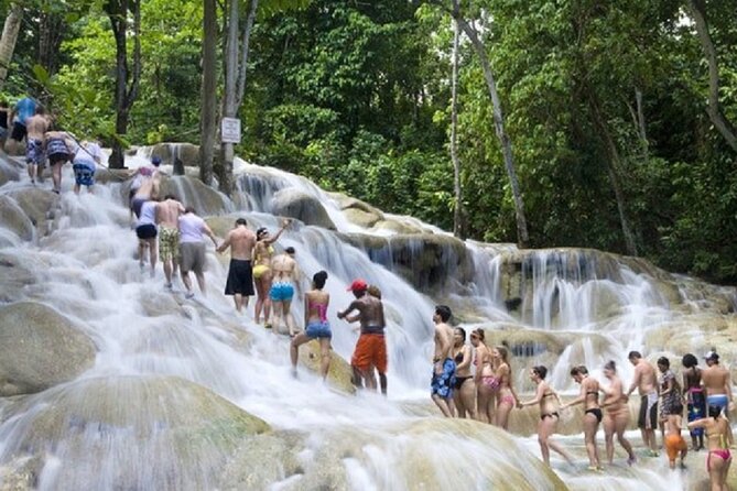 Bob Marley Nine Mile, Dunns River Falls & Floyds Pelican Bar Multi Day Tours - Pricing Information